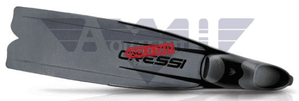 Gear Rentals Rental (Long Fins) Tours / Lessons