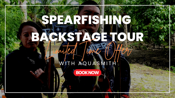 Spearfishing Tour Backstage Tours / Lessons