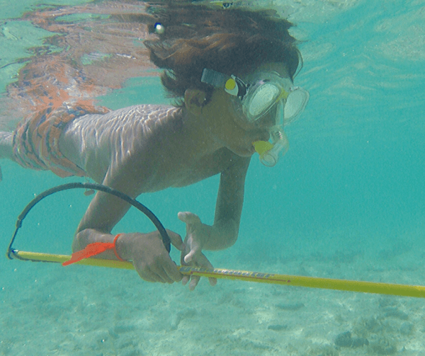 Local Intro Spear Tours / Lessons