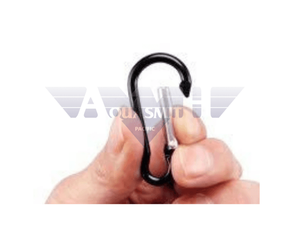 http://aquasmith.com/cdn/shop/products/salvimar-1-85-aluminum-carabiner-belt-clip-for-fish-stringer-weight-belts-stringers-155_1200x1200.png?v=1664261916