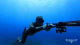 Spearfishing Lessons Level 2 Tours /