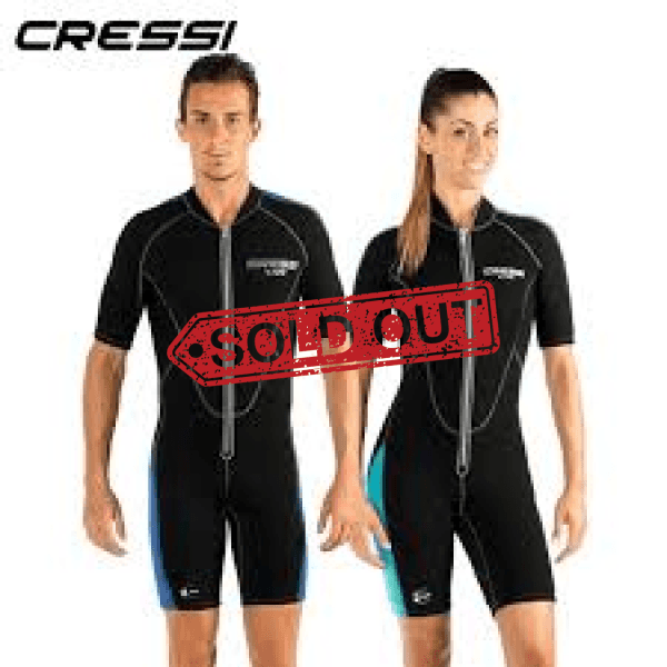 Gear Rentals Rental (Wetsuit: shorties) Tours / Lessons