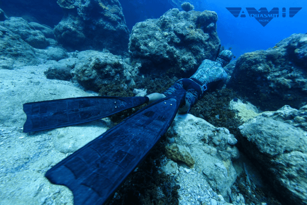 Local Spearfishing Lessons Tours /