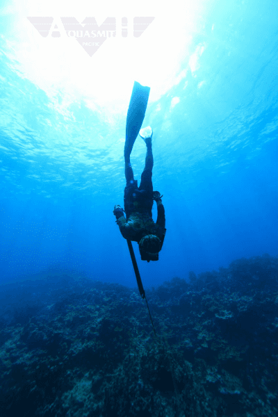 Spearfishing Tour Tours / Lessons