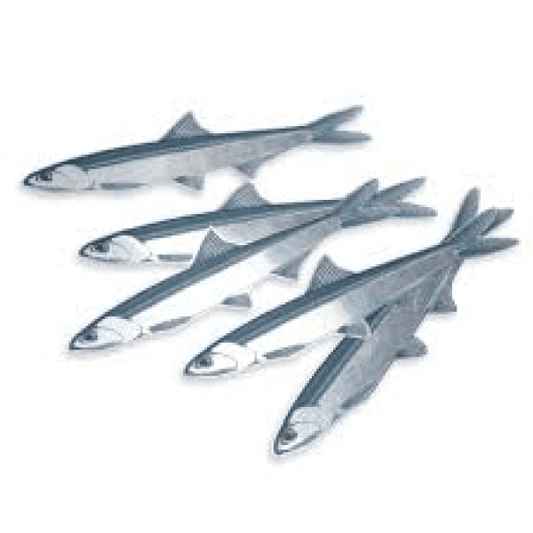 Omer Shiny Blue Fish Sticker Apparel