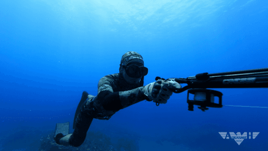 Spearfishing Lessons Level 2 Tours /