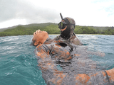 Spearfishing Lessons Rescue (Half Day) Tours /