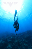 Spearfishing Lessons Tours /